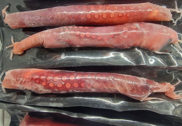 Polpo Marocco tentacoli interi cotti Surgelati - immagine 4