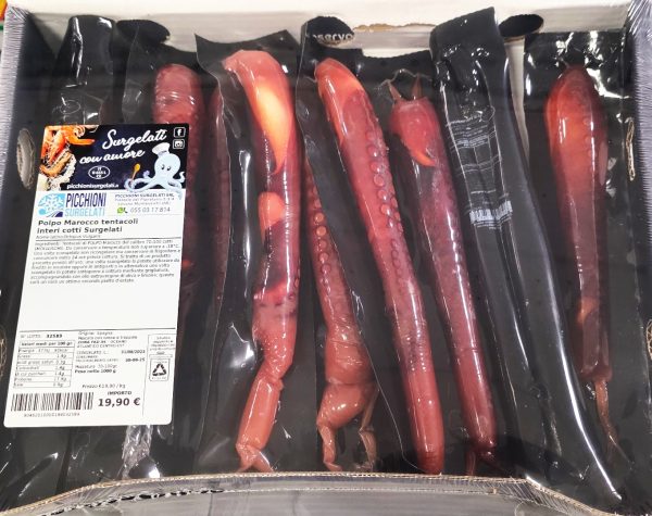 Polpo Marocco tentacoli interi cotti Surgelati