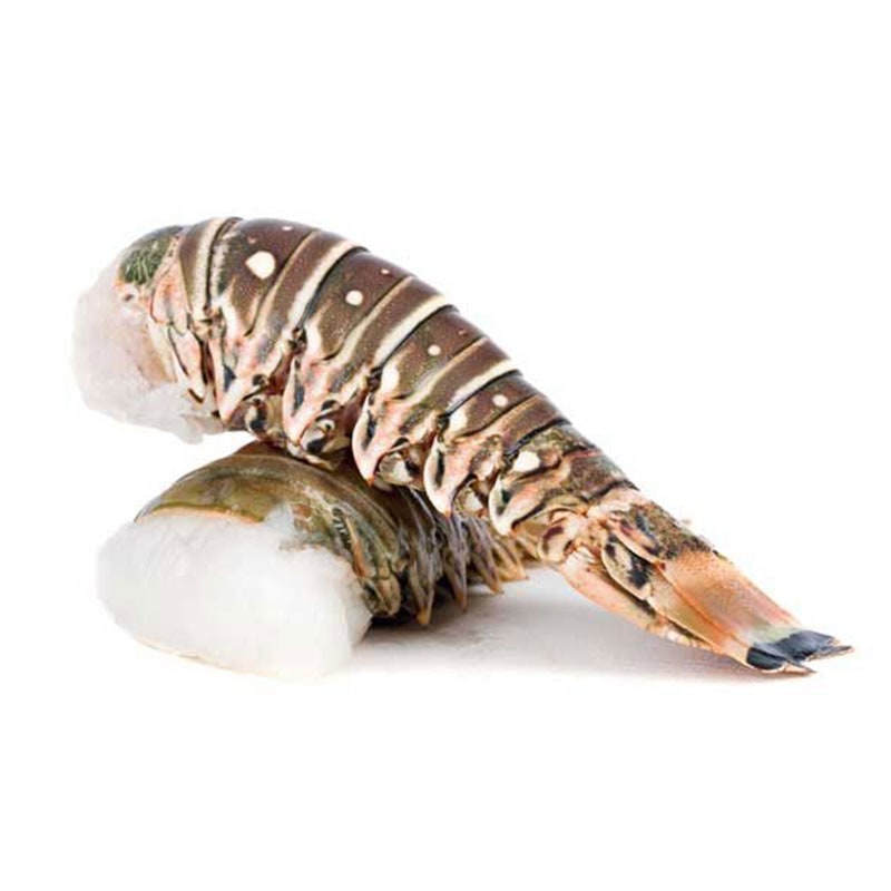 coda-di-aragosta-cruda-picchioni-surgelati