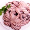 Polpo T6 Senegal Intero Crudo IQF Surgelato - immagine 2
