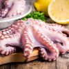 Polpo T6 Senegal Intero Crudo IQF Surgelato