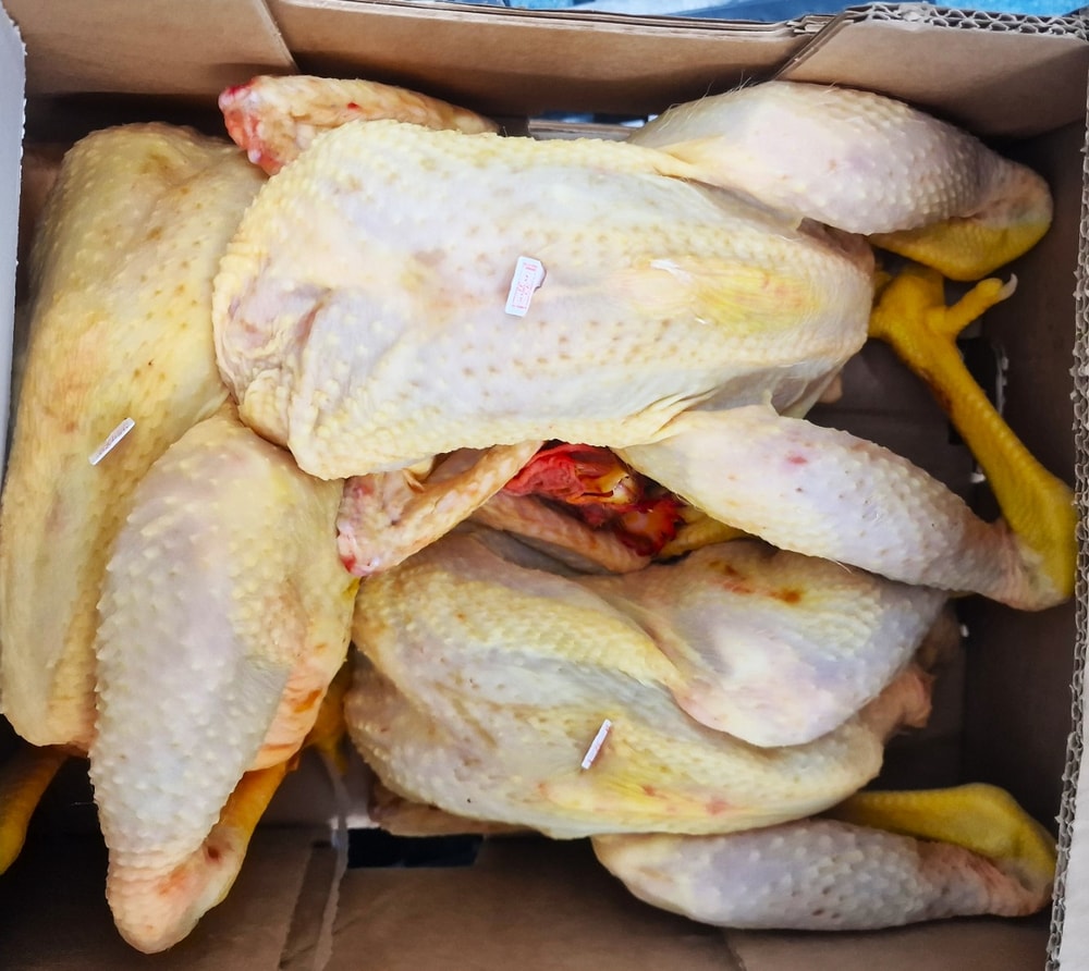 Pollo Golden Nostrale Fresco A